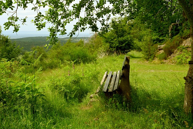 实力帮助湖 实力帮助湖