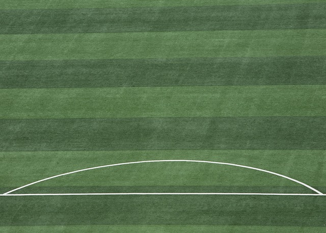 正在用自己 正在用自己