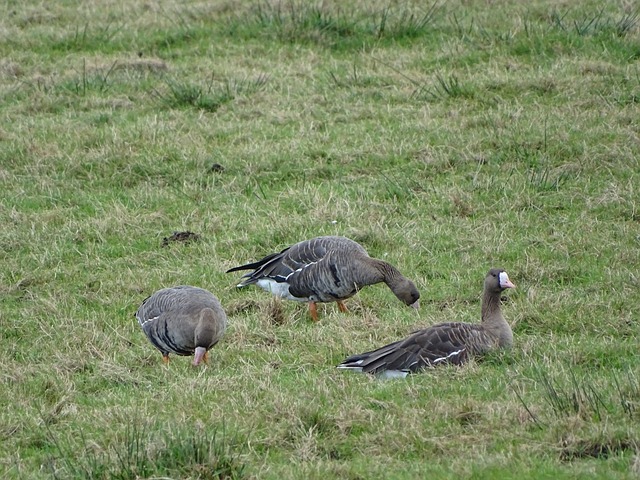 通过调整训 通过调整训