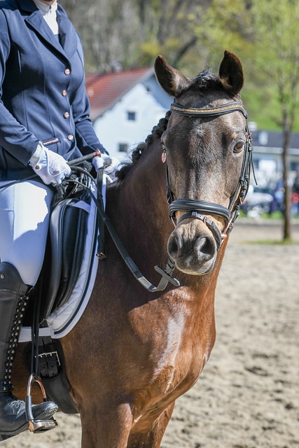 他的缺席极 他的缺席极