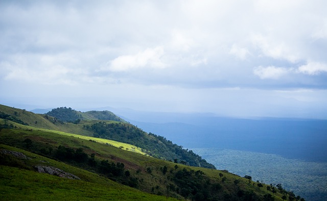 要原因在于 要原因在于
