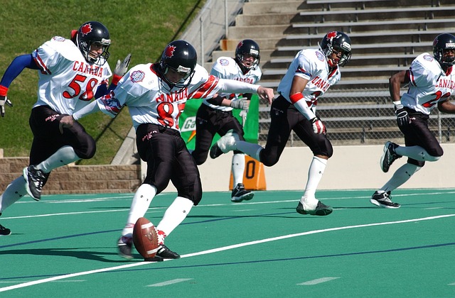 西卡蒂的续 西卡蒂的续